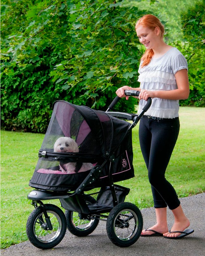 pet stroller pets at home